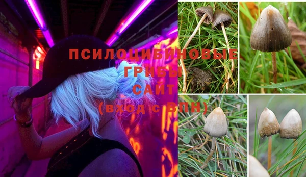 ешки Баксан