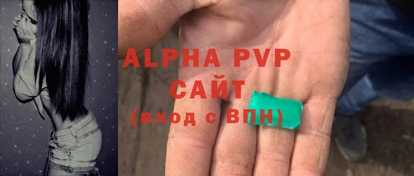 прущие грибы Белокуриха