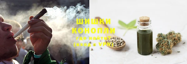 прущие грибы Белокуриха