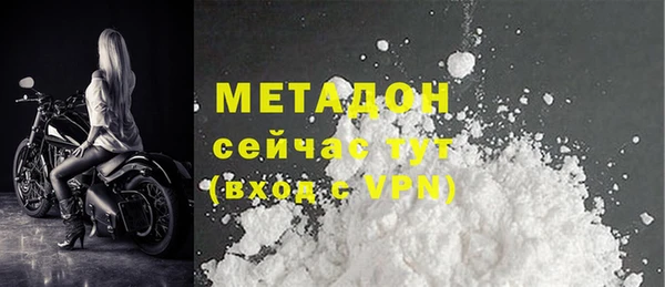 прущие грибы Белокуриха