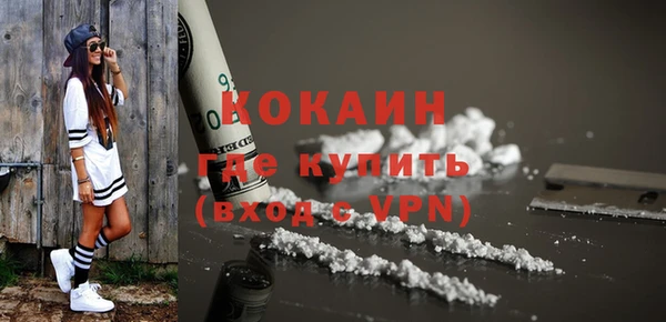 прущие грибы Белокуриха