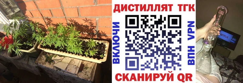 ТГК Wax  Гаврилов-Ям 